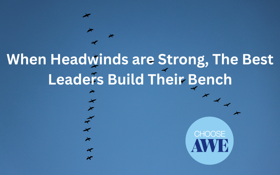 When Headwinds are Strong, The Best Leaders Build Their Bench