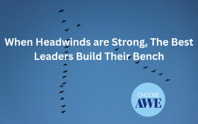 When Headwinds are Strong, The Best Leaders Build Their Bench